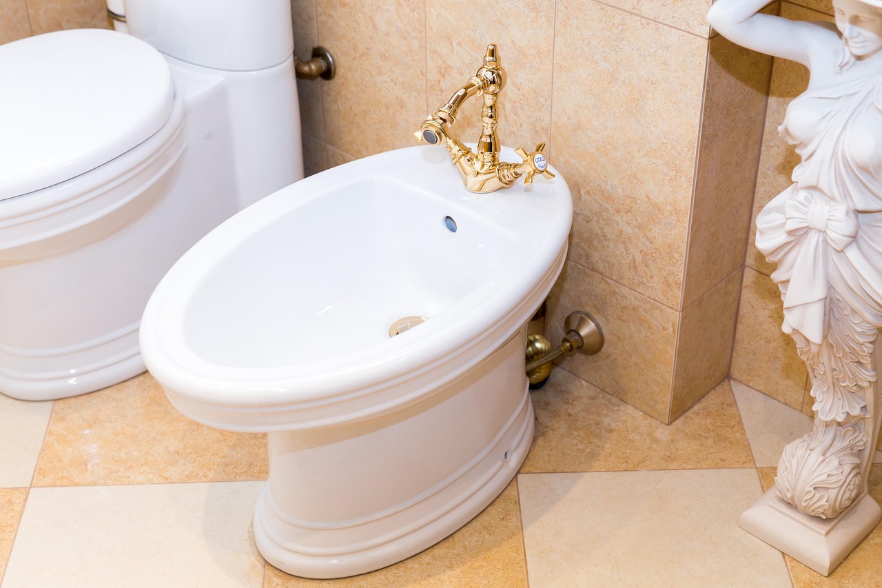 The Day I Mistook a Bidet for a Sink
